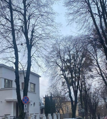 Яку погоду прогнозують у Львові синоптики до кінця тижня