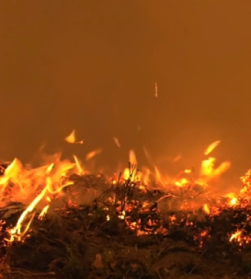 У львівській квартирі виявили обгоріле тіло жінки