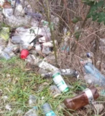 Поблизу Ужгорода виявили дев&#039;ять несанкціонованих сміттєзвалищ