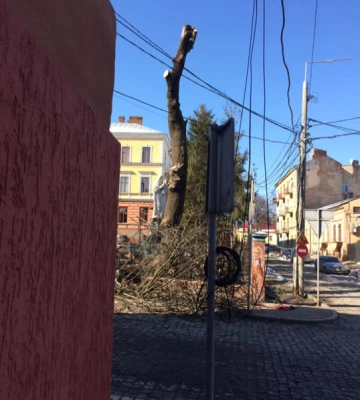 У центрі Чернівців комунальники знову нищать дерева