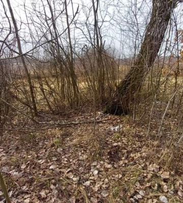 На Рівненщині 10-річний хлопець вигадав, що його викрали. Поліції довелось витрачати час на пошуки