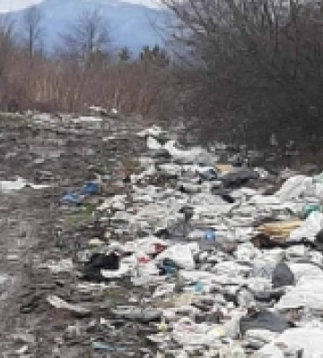 Свалявський комунал закликає повідомляти за порушників чистоти