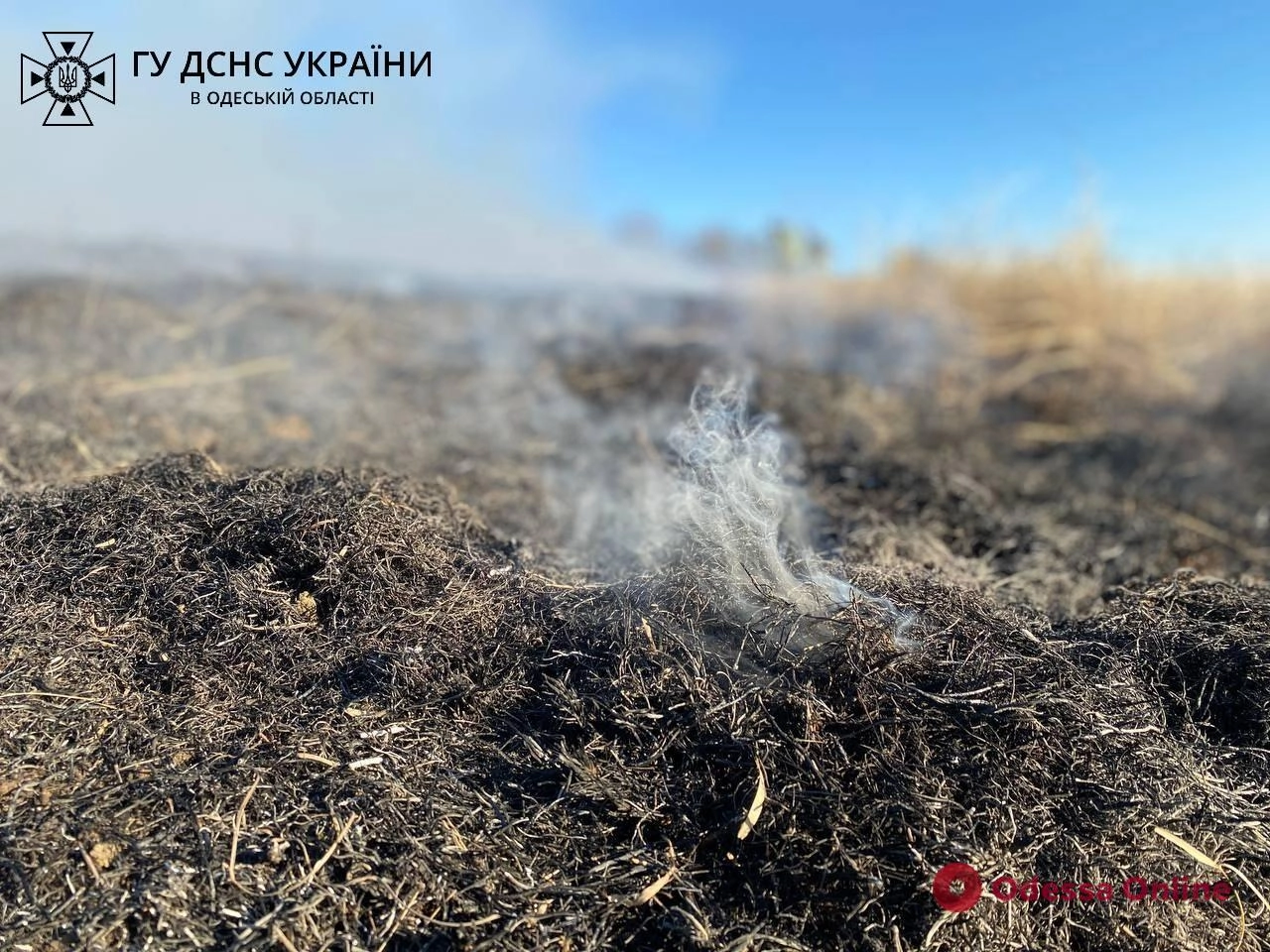 В Одесской области спасатели ликвидировали пожар в экосистеме (фото, видео)  - Региональные новости