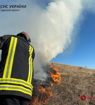 В Одесской области спасатели ликвидировали пожар в экосистеме (фото, видео)