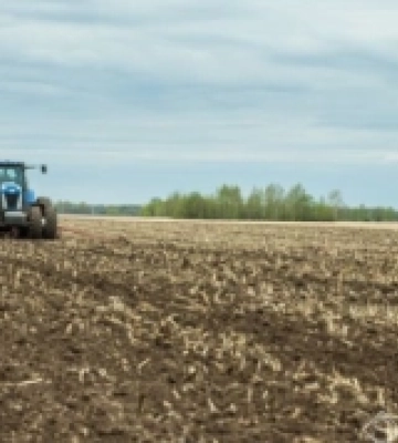 Посівна-2023: малі фермерські господарства Херсонщини можуть отримати підтримку ФАО
