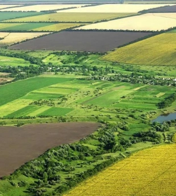За минулий рік на Полтавщині продали близько 10 тисяч гектарів землі
