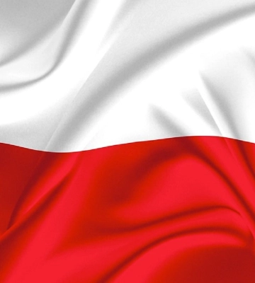 Польша упростила экспорт украинской агропродукции: главные изменения