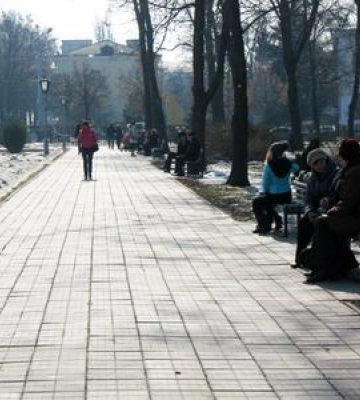 Вітряно, ожеледь та плюсові позначки: яку погоду очікувати на Полтавщині