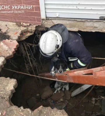 На Одещині провели успішну рятувальну операцію