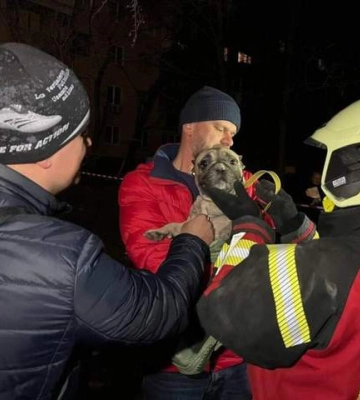 ГСЧС спасла бульдога, который почти двое суток находился под завалами дома в Запорожье