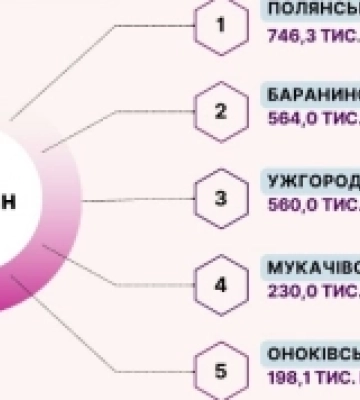 560 тисяч гривень туристичного збору надійшли до бюджету Ужгорода з початку року