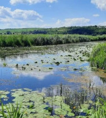 На землях Білогородської громади створять заказник “Неграші-Музичі”