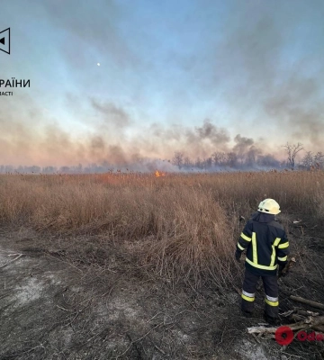 Огонь охватил пять тысяч квадратных метров: одесские спасатели гасили пылающий камыш (фото, видео)