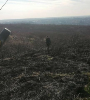 &quot;Виноградів не оминула проблема&quot;: закарпатців застерігають від масштабного лиха