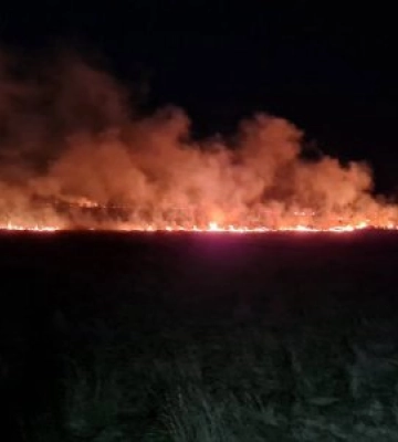 4 березня підрозділами Головного управління ДСНС України у Миколаївській області ліквідовано вісім пожеж, сім з яких на відкритих&amp;hellip;