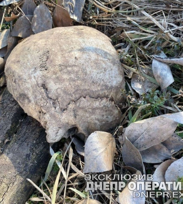 У Дніпрі підліток знайшов у посадці людські останки
