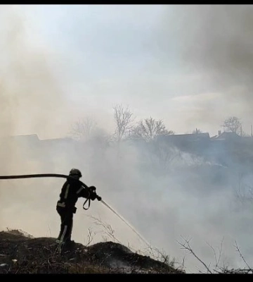 Під Одесою через людську недбалість спалахнула масштабна пожежа, - ФОТО
