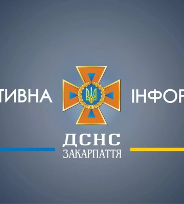 У Виноградові вирувала пожежа: вогонь охопив суху траву