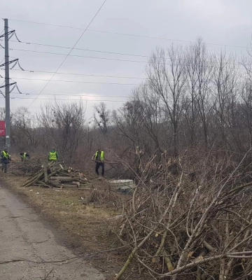 В Буче озеленяют наиболее поврежденную российскими оккупантами улицу