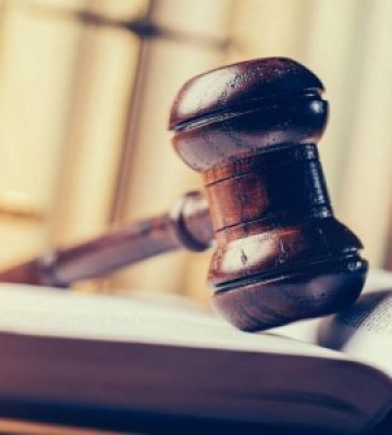 Мокрянський лісгосп заподіяв шкоду лісовим ресурсам на суму в понад 2,5 млн грн