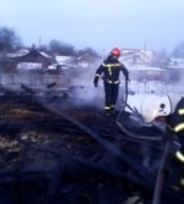 На Сумщині кіт врятував господарів під час пожежі