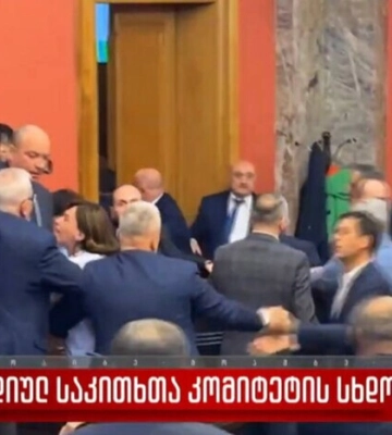 В парламенте Грузии произошла драка из-за закона об иноагентах (видео)