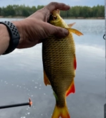 На Волині державі вимагають повернути водосховище вартістю майже 700 мільйонів гривень