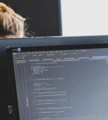 Полтава очолила рейтинг за кількістю нових офісів IT-компаній