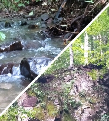 Моторошний бункер біля водойми на Закарпатті: що кажуть люди?
