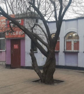 Столичні прокурори повернули до комунальної власності нежитлове приміщення вартістю 7,4 млн гривень