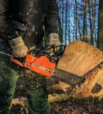 У заповіднику на Полтавщині спиляли дерев майже на 700 тисяч гривень