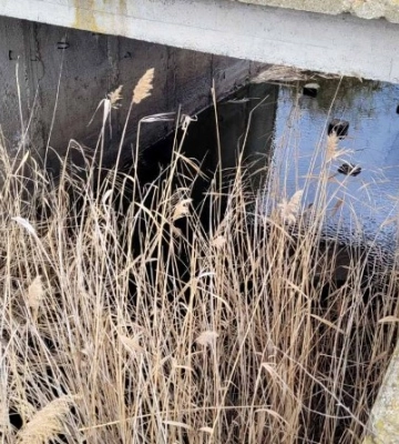 На півдні Одещини обстежили водотоки двох річок, що загрожують підтопленням навколишніх сіл