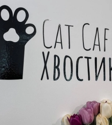 У Вінниці відкрилося перше соціальне котокафе