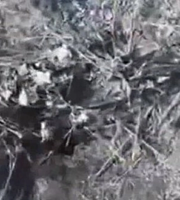 Атака беспилотников на российскую пехоту в Водяном Донецкой области. ВИДЕО
