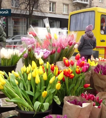 Як змінилась вартість тюльпанів у Кропивницькому напередодні 8 березня (відео)