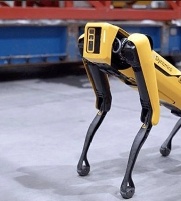 В Киеве кто-то &quot;выгулял&quot; робота-собаку от Boston Dynamics
