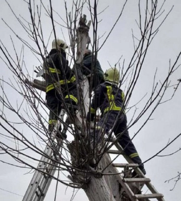 На Вінниччині бійці ДСНС врятували з дерева старенького пенсіонера