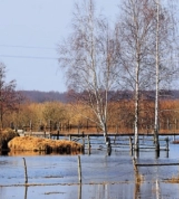 На Волині підтоплені сім тисяч гектарів сільськогосподарських угідь