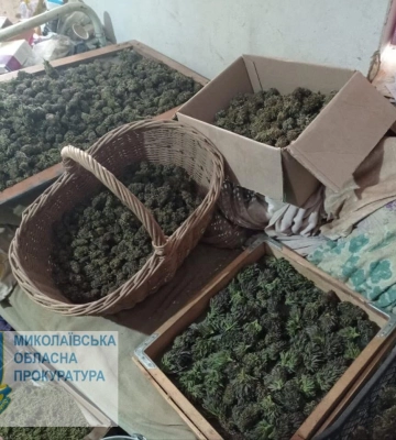 У Миколаєві судитимуть організовану групу наркоторговців