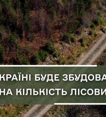 На Поліссі планують збудувати 180 кілометрів доріг