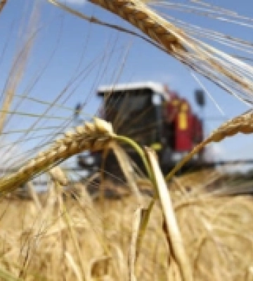 Аграрії Закарпаття можуть подати заявки на програми підтримки від ФАО