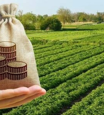 Внесок платників за землю до бюджету Кіровоградщини склав майже 170 мільйонів