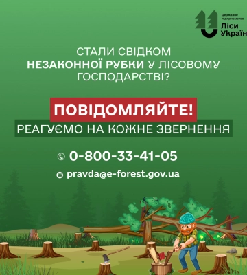 Лісівники просять повідомляти про незаконні вирубки