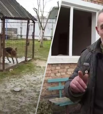 Начала скавчать перед взрывом, – во время массированного удара собака спасла жителя Львовщины
