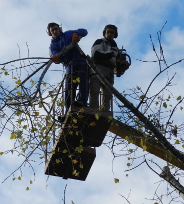 На Рівненщині доведеться відключати електроенергію