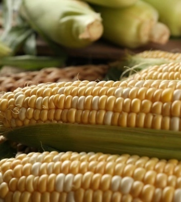 Польша упростила транзит украинской агропродукции в порты