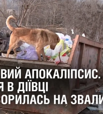 СМІТТЄВИЙ АПОКАЛІПСИС. Вулиця Діївки перетворилась на звалище