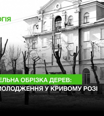 Смертельна обрізка дерев: про омолодження у Кривому Розі
