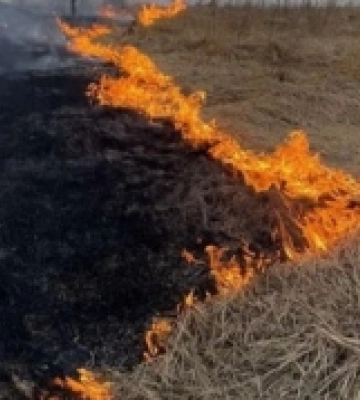 На Волині на території майбутнього індустріального парку загорілася суха трава