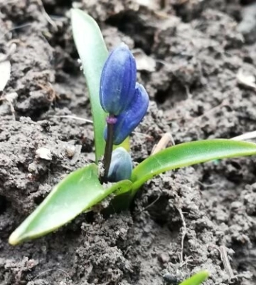 Синоптики прогнозують погіршення погоди на вихідних